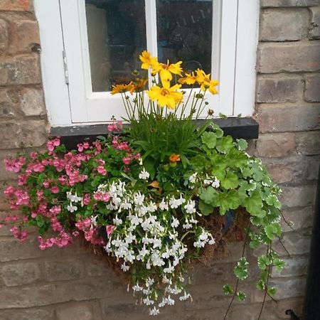 Delighful Self Catering In The Heart Of Glastonbury Eksteriør billede
