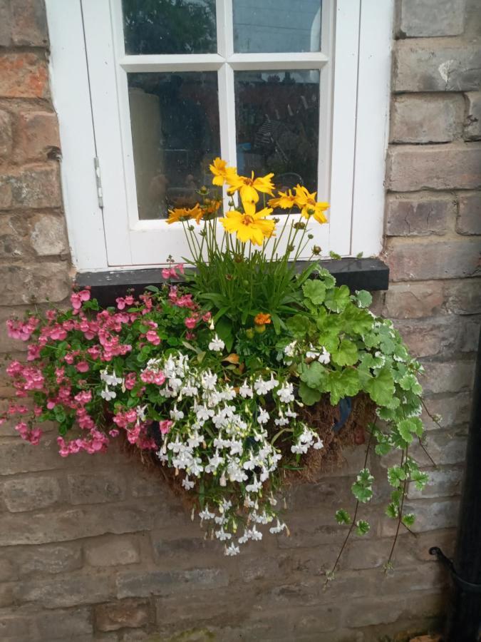 Delighful Self Catering In The Heart Of Glastonbury Eksteriør billede